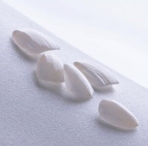 How Do Dental Veneers Work?