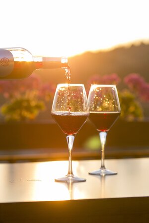 Dentist Wagga FAQ: Is Alcohol Bad For My Teeth?