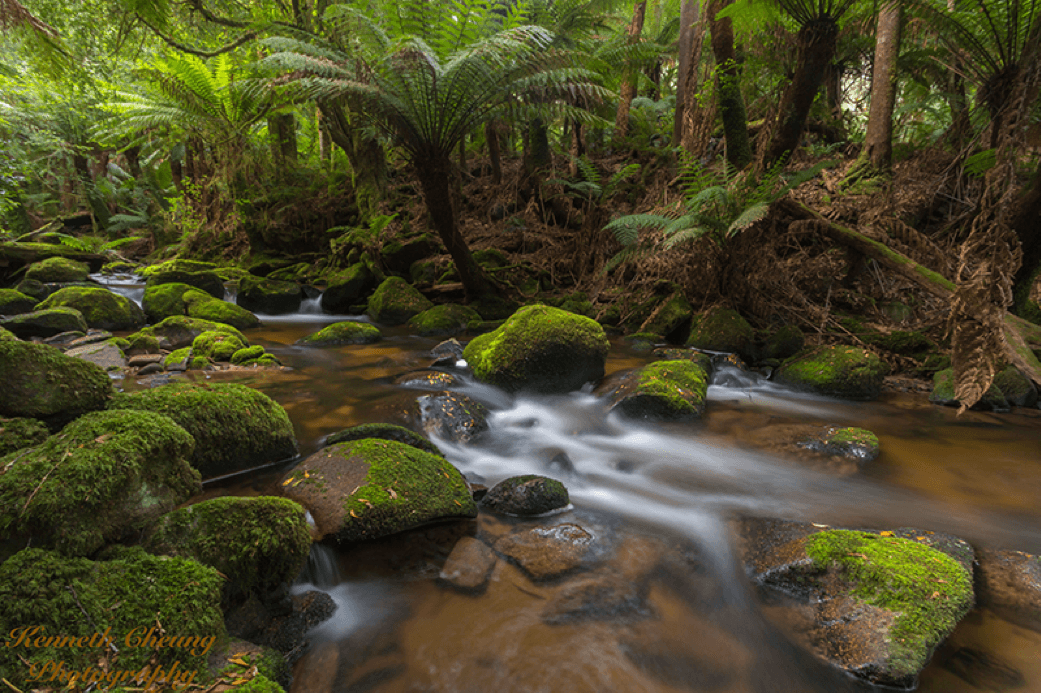 Morgan Street Dental Centre Dr Kenneth Cheung Landscape Portrait Photography Stream Kenneth9